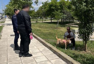 Θεσσαλονίκη