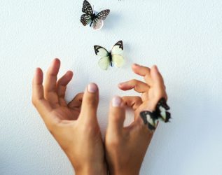 Butterfly Effect Φαινόμενο Πεταλούδας tik tok