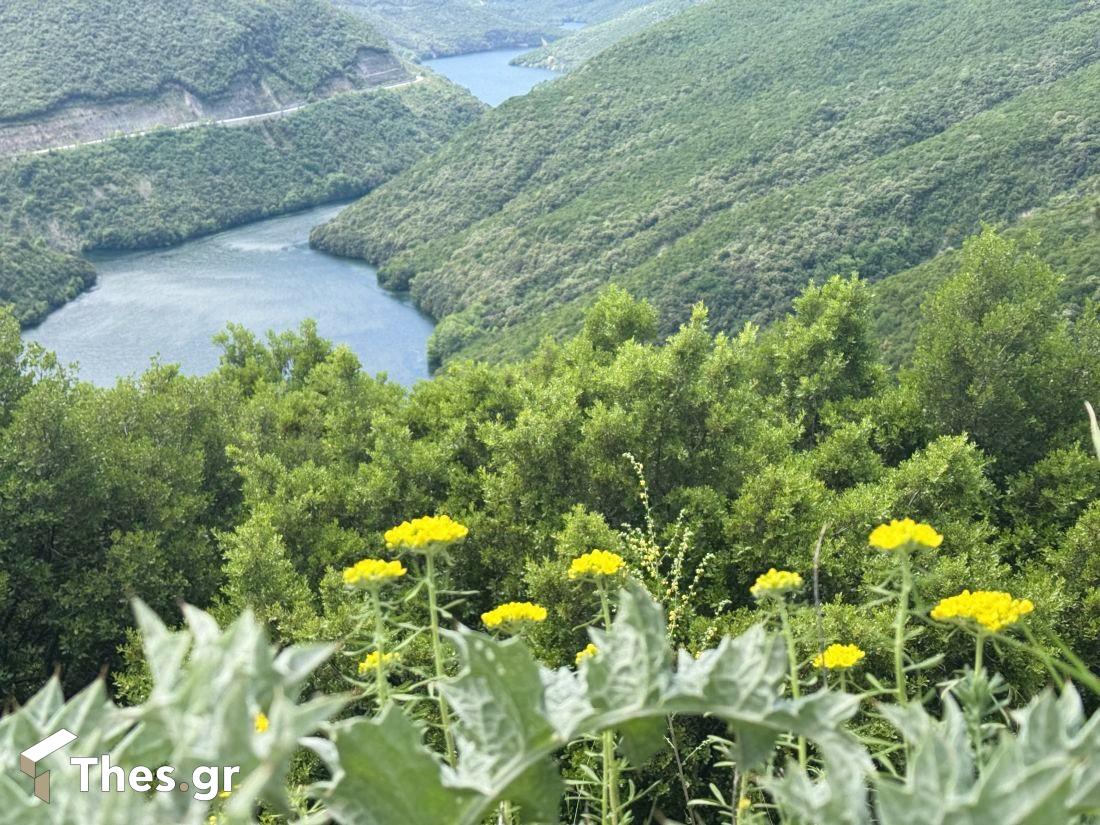 το ωραιότερο παγκάκι Ραχιά Βέροιας Ημαθία Καλλίπετρα θέα ποταμός Αλιάκμονας