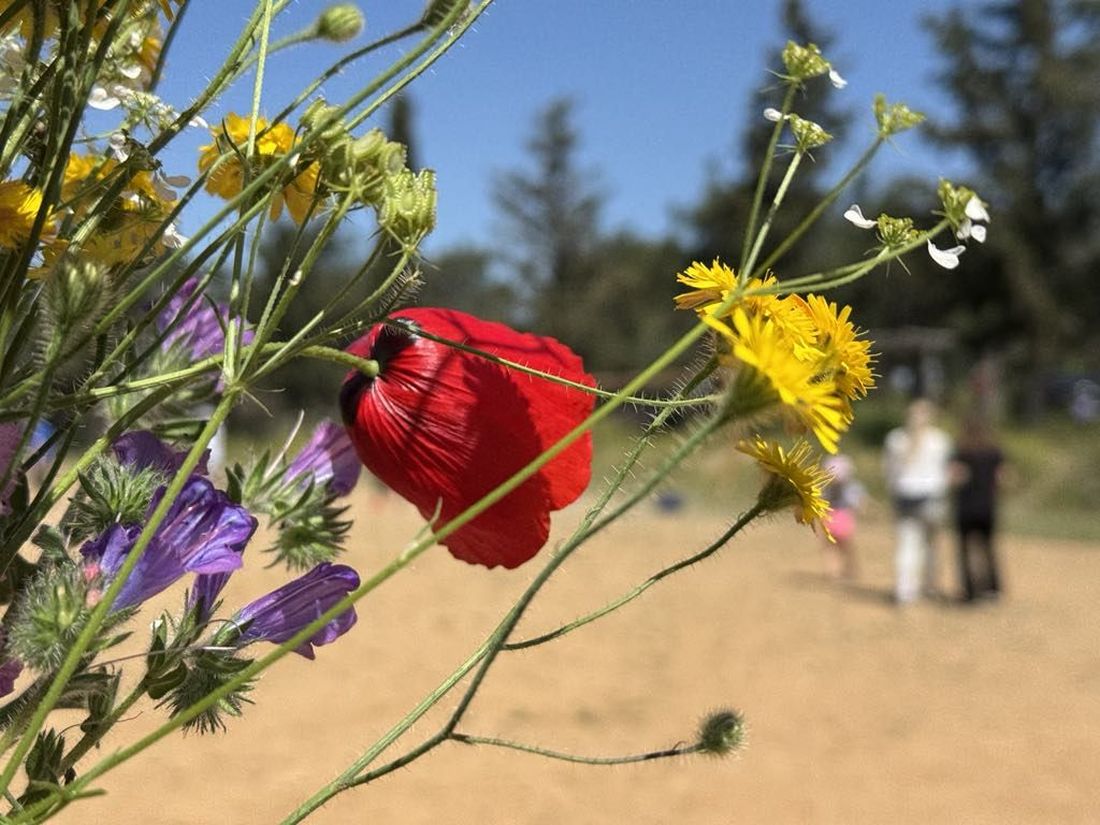 Πρωτομαγιά Σέιχ Σου Θεσσαλονίκη Ατλαντίδα