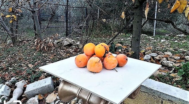Τρως λωτό και… ξεχνάς τον γιατρό!