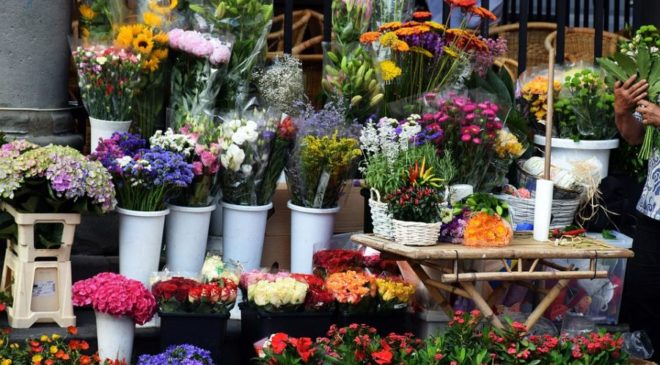 Θεσαλονίκη: Με ποικιλία φυτών ξεκίνησε η 10η Ανθοκομική Εκθεση Οσσας