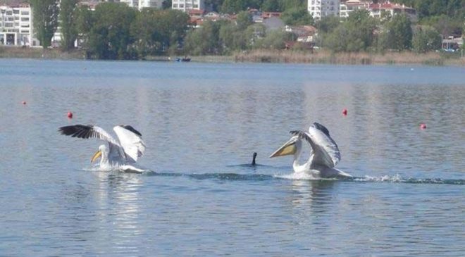 Καστοριά: Η αρχόντισσα της Δυτικής Ελλάδας