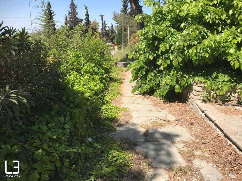 Κέδρινος Λόφος Ανω Πόλη Θεσσαλονίκη 