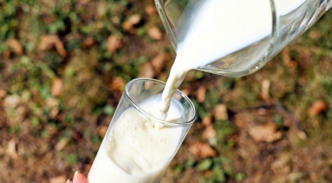 Απειλείται με κατάρρευση το τείχος των γαλατάδων – Στα 1,70 ευρώ το πρόβειο γάλα στην Ελασσόνα