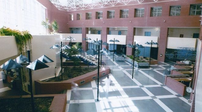 Πρωτοποριακή επέμβαση για την ελεφαντίαση για πρώτη φορά στην Ελλάδα στο “Παπαγεωργίου”
