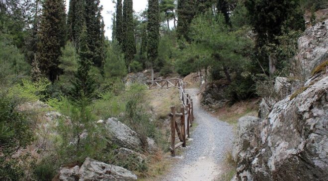 Ημέρα καθαρισμού του Σέιχ Σου