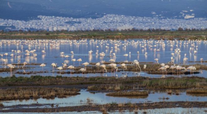 Εκθεση φωτογραφίας για τη λιμνοθάλασσα του Καλοχωρίου και το Δέλτα του Αξιού