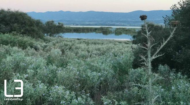 Σύσκεψη στο ΥΜΑΘ για την λίμνη Κορώνεια