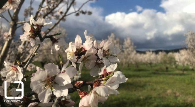 «Ηρθε πάλι η Ανοιξη. Η γη μοιάζει με παιδί που έχει αποστηθίσει ποιηματάκια» (ΒΙΝΤΕΟ & ΦΩΤΟ)