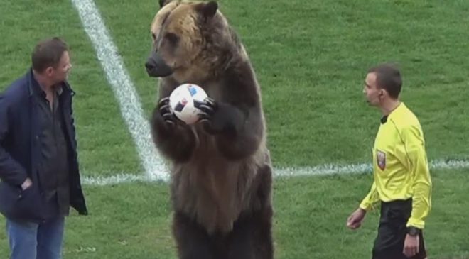Οργισμένες αντιδράσεις για το σόου αρκούδας σε αγώνα ποδοσφαίρου (ΒΙΝΤΕΟ)