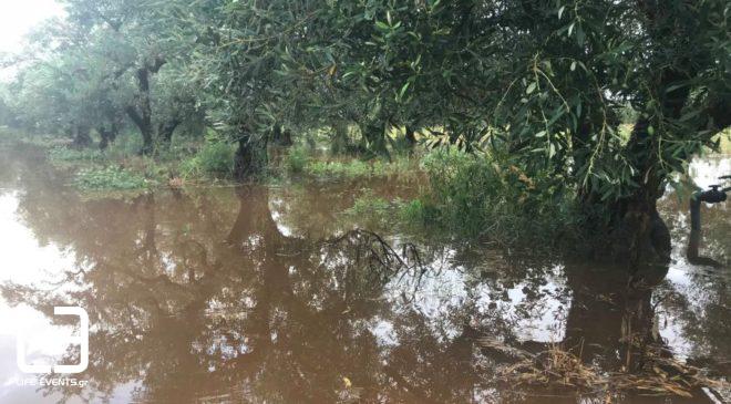 Προσωρινό λουκέτο σε εργοστάσιο λόγω μόλυνσης